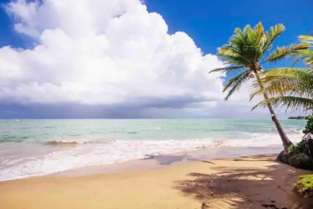 Fall In Love To Endless Summer. Charm And Private Διαμέρισμα Loiza Εξωτερικό φωτογραφία